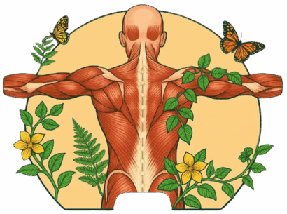 The Body Mechanic